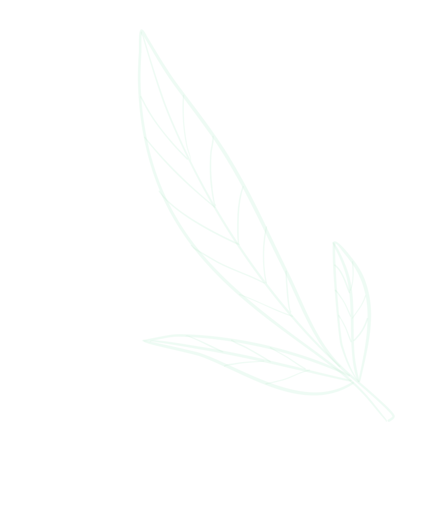 Folium Dispensary